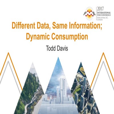 Different Data, Same Information; Dynamic Consumption