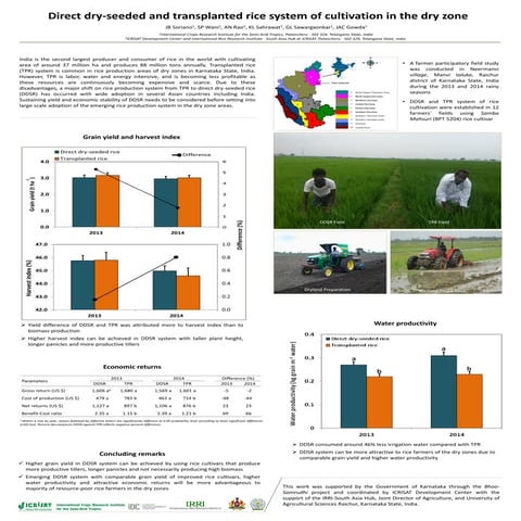 Direct dry-seeded and transplanted rice system of cultivation in the dry zone
