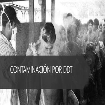Ddt1 (1) | PPTX