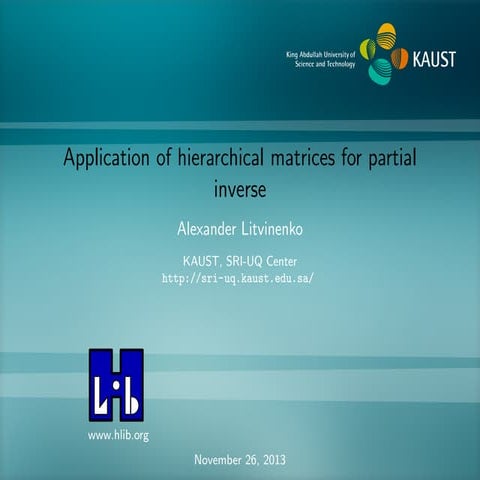 Application of hierarchical matrices for partial inverse