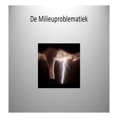 De Milieuproblematiek