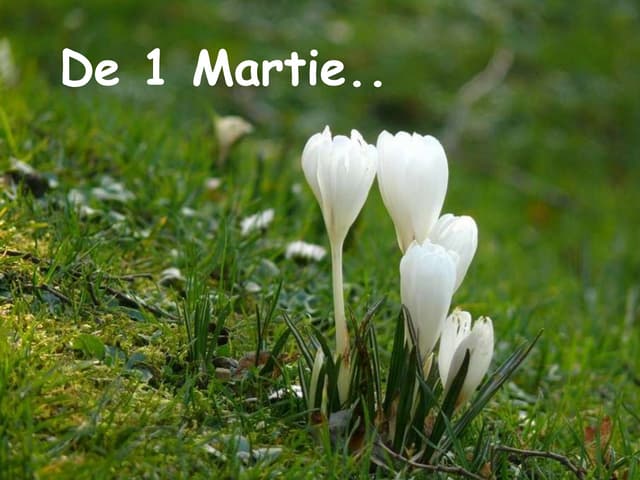 1 Martie