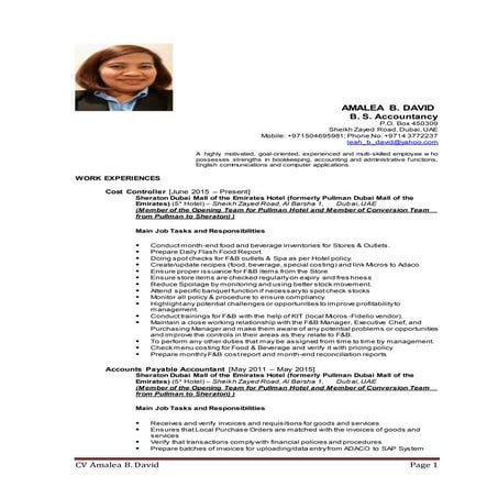 CV - COST CONTROLLER