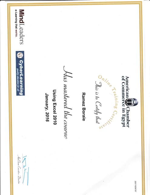 USING EXCEL 2010 CERTIFICATE