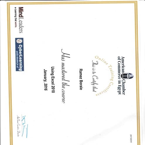 USING EXCEL 2010 CERTIFICATE