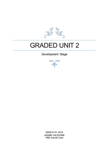 Graded unit - Planning stage - Jasmin Valentine | PDF