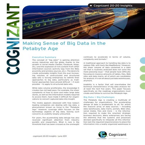 Dealing with Big Data: Planning for and Surviving the Petabyte Age