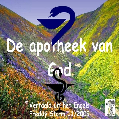 De Apotheek Van God | PPT