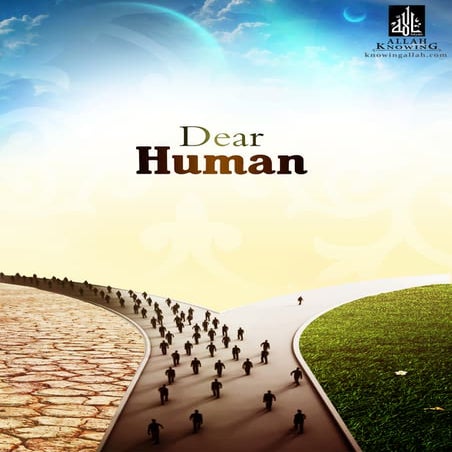 Dear human 