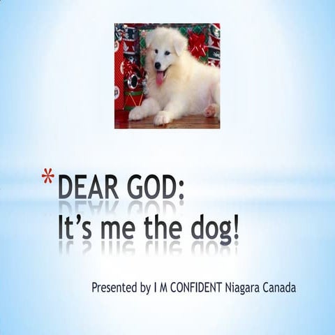 Dear God, Its Me The Dog