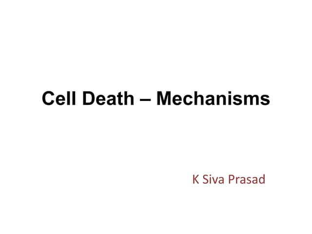Cell Death and Cancer