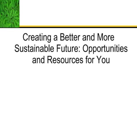 Deb Rowe Presentation Inservice 08