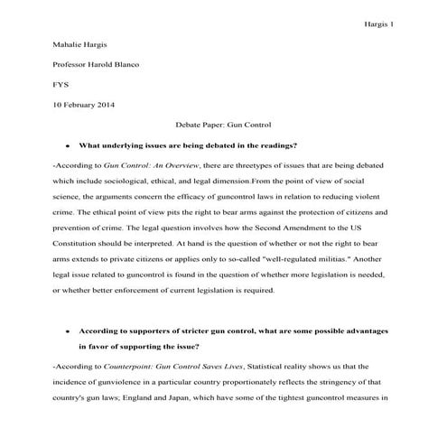 Debate paper gun control