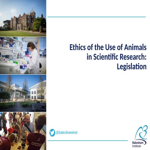 debating the ethics of animal use in research - legislation - presentation.pptx