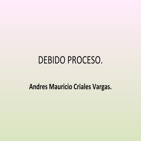 Debido proceso | PPT