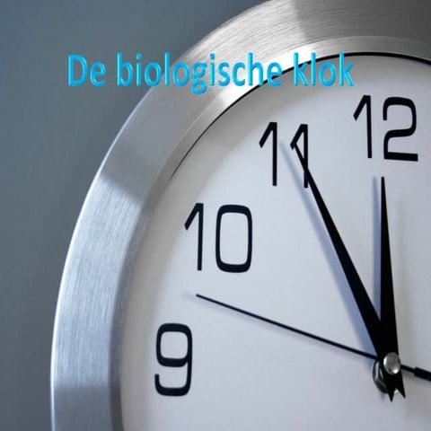 De biologische klok