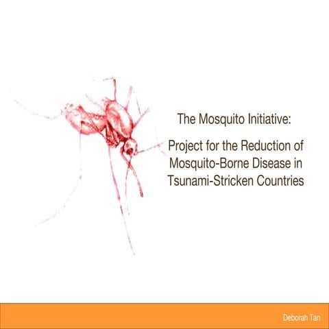 Deborah Tan Mosquito Initiative