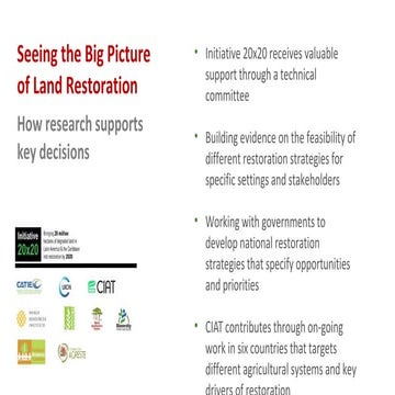 Seeing the big picture of land restoration