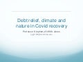 Debt relief, climate and nature in COVID-19 recovery