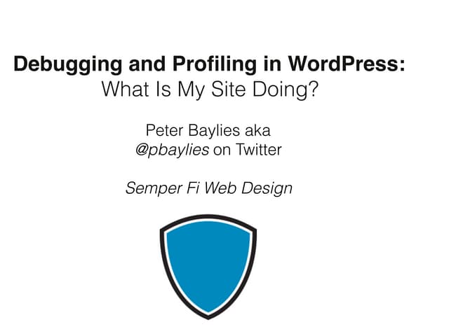 Debugging and Profiling in WordPress: What is My Site Doing?