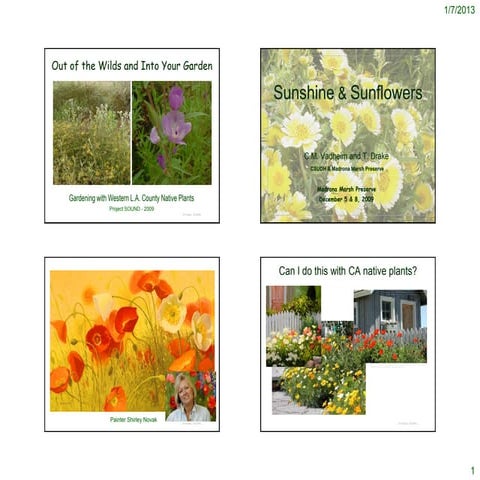 Low Groundcovers - Notes | PDF