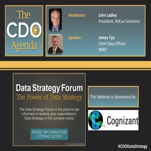 The Chief Data Officer's Agenda: Leading the Enterprise Data Strategy and Org...