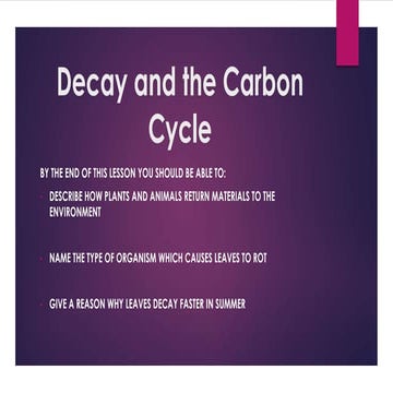 Decay and the carbon cycle
