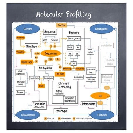 December 2012 drylab
