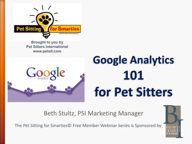 Google Analytics 101 for Pet Sitters