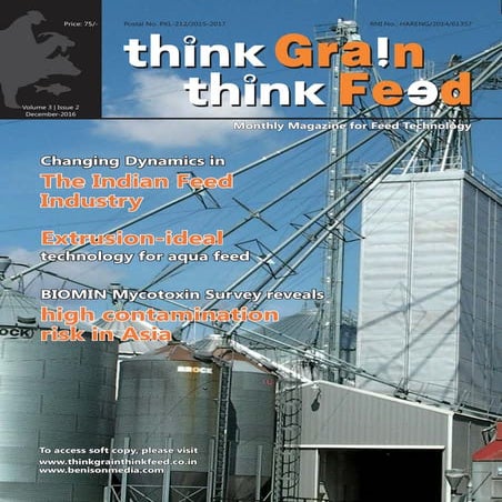 Think Grain Think Feed December issue