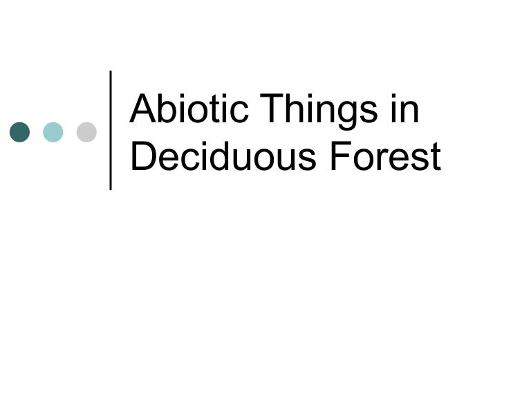 Deciduous Forest Biotic And Abiotic