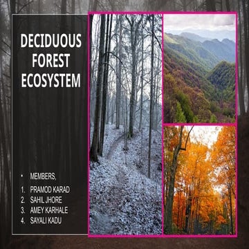 Deciduous Forest Ecosystem IN ARCHITECTURE.pptx