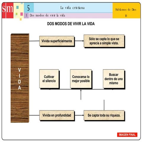 Unidad 5: La vida cristiana