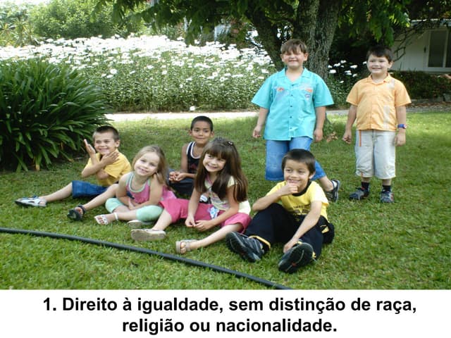 Declaraçao Universal Dos Direitos D...