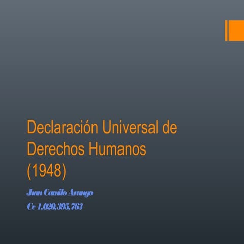 Declaracion derechos humanos  ppt