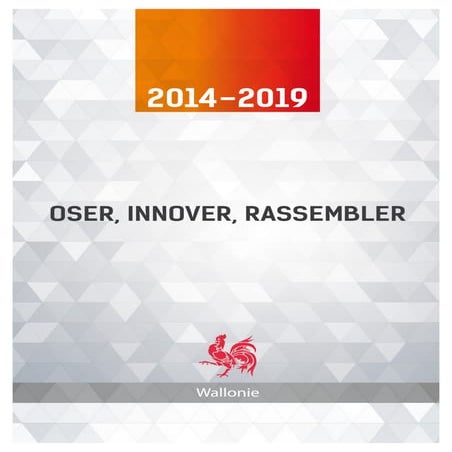 Declarationpolitiquegenerale