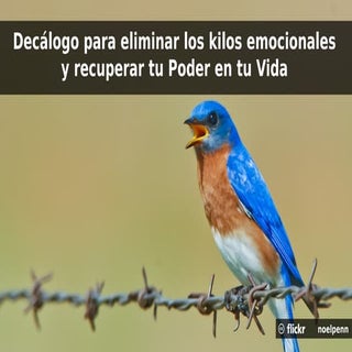 Decálogo para eliminar los kilos em...