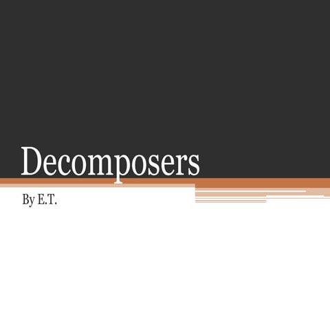 Decomposers