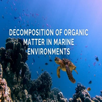 decomposition of organic matter in marine environments_20260409_235250 ...
