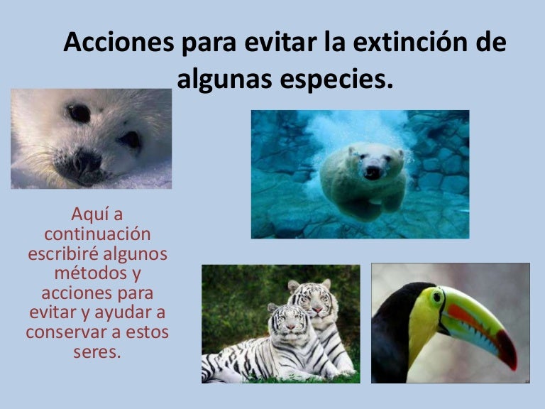 Acciones para evitar la extinción de especies Acciones para evitar la extinción de especies