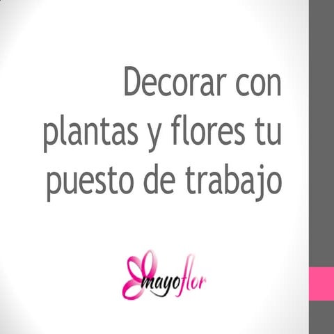 Decorar con plantas y flores tu puesto de trabajo