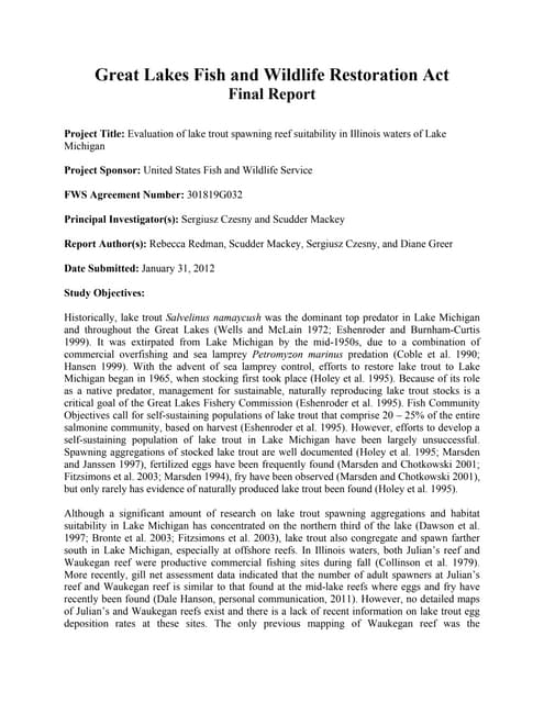 Final Project Report_301819G032