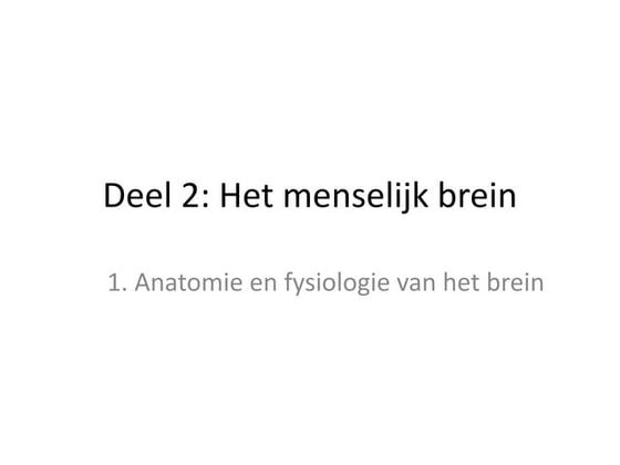 4.1 reageren op je omgeving ppt | PPT