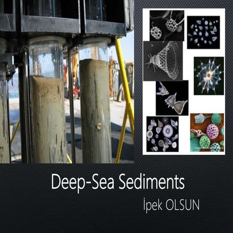 Deep-Sea sediments-sunum.pptx