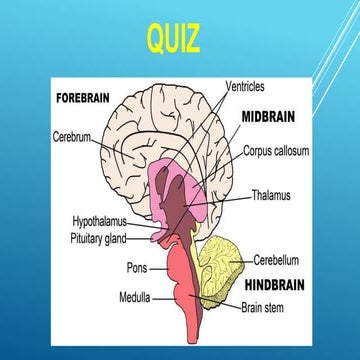 8th Class NCERT Science Quiz