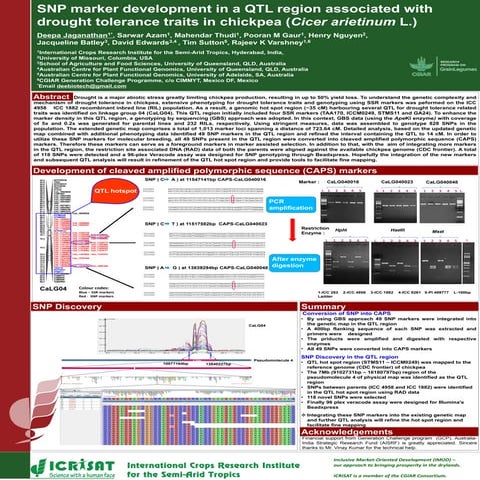 Identification of quantitative trait loci for resistance to shoot fly ...