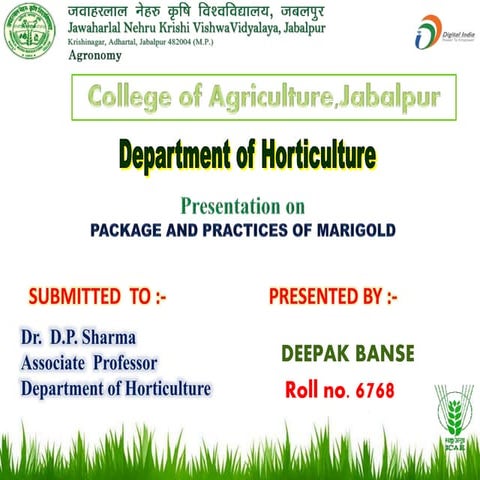 Deepakb  marigold  ppt Presentation on   PACKAGE AND PRACTICES OF MARIGOLD    