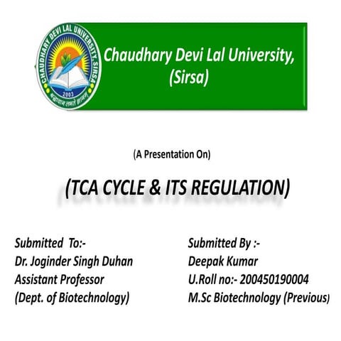 TCA CYCLE AND ITS REGULATIONS