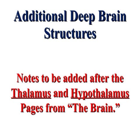 Deep brain structures