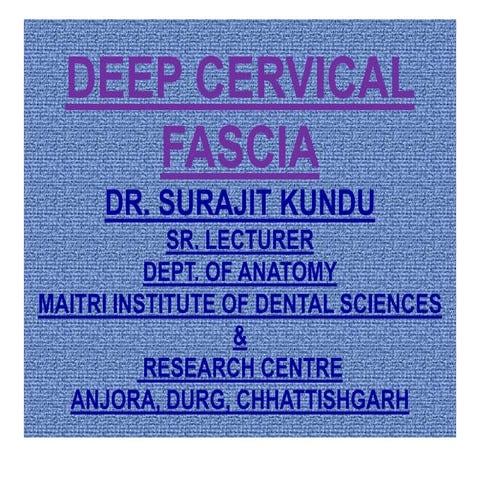 Deep cervical fascia (fascia colli)